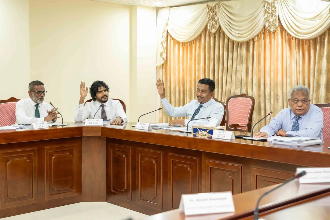 Four members of the Finance Committee seated at a wooden committee table, two of them raising their hands.